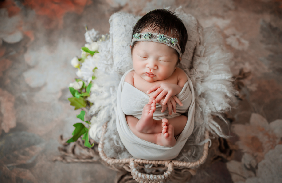 Kids Professional Photographer - Dreambox